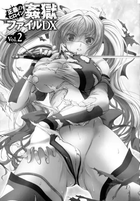 Seigi no Heroine Kangoku File DX Vol. 2