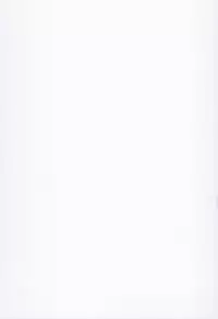 (C86) [Molotov Cocktail (Oowada Tomari)] Blade Blade VI (Queen's Blade)