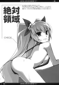 (C79) [life & Digital Flyer (Haga Yui & Ohta Yuuichi)] DIGITAL LIFE 2010 WINTER ff (Precure Series)