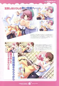 Tsunagaru Bangle - Visual Fan Book