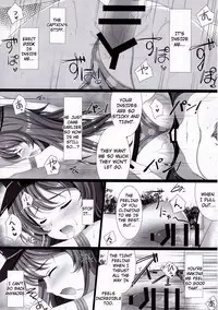 (C90) [THE FLYERS (Naruse Mamoru)] Orderly Cage (Granblue Fantasy) [English]