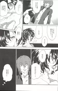 [NEO-de (Natsuzaka)]レーゲン (Gundam Seed Destiny)