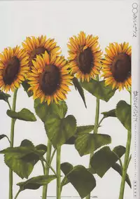 [minori] Natsuzora no Perseus Gouka-ban Omake Sasshi