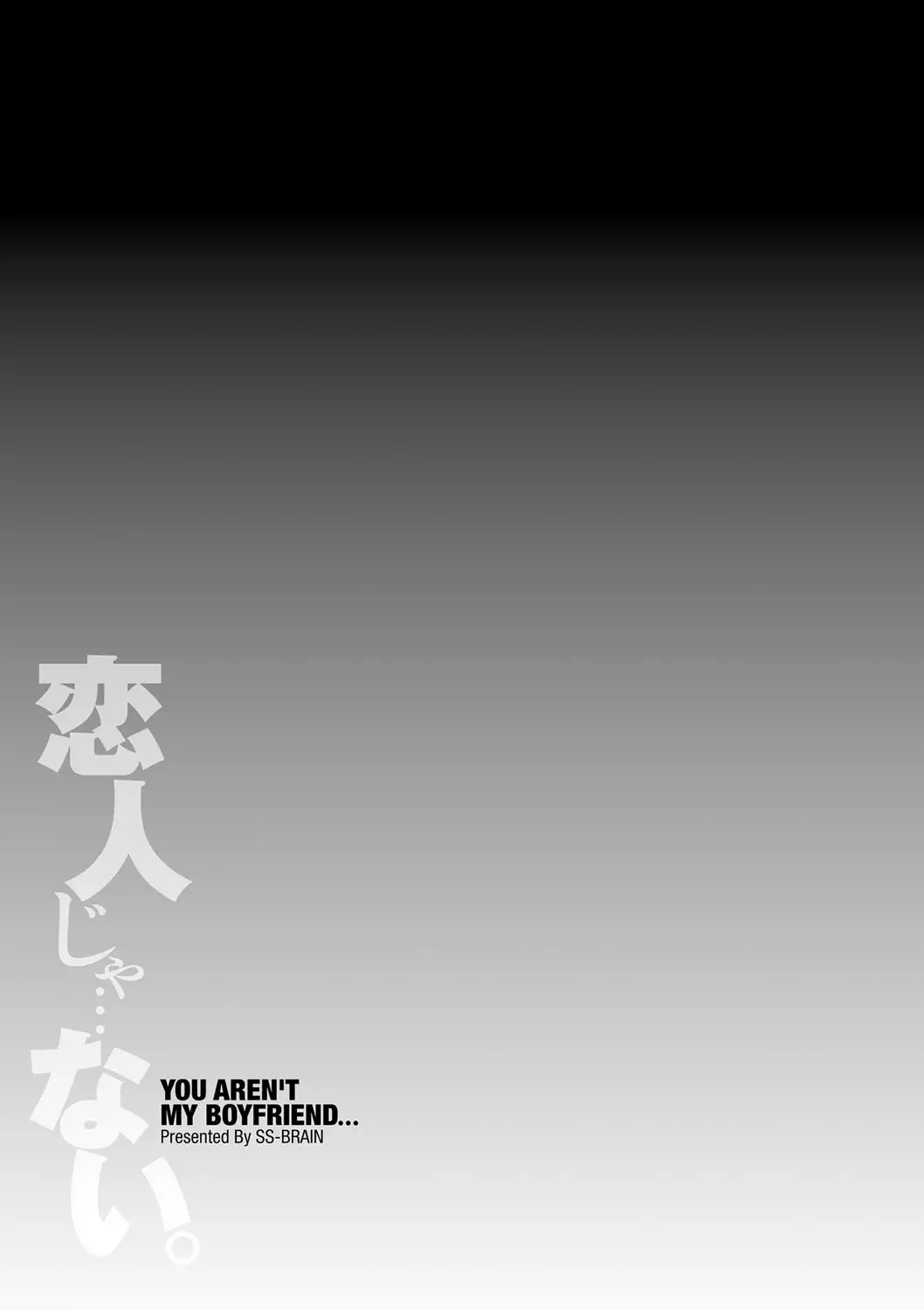 Koibito ja...nai. Seto Karen Hen + APPEND BOOK