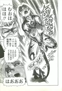 [Yamamoto Atsuji] Kubiwa Monogatari - Lord of the Collars