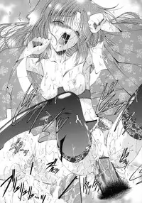 [Noraneko Nagaya] Horoama Omocha Hako