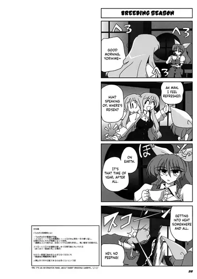 (C76) [Kieyza cmp (Kieyza)] TOHO N+ MOON RACE (Touhou Project) [English] [cutegyaruTL]