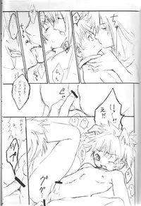 Peach Drop- Arco Iris