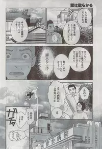 Monthly Vitaman 2008-08