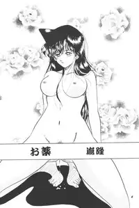 [Studio Boxer (Shima Takashi, Taka)] HOHETO 22 (Detective Conan)