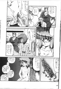 [D-Heiba] Cat's Mate RX