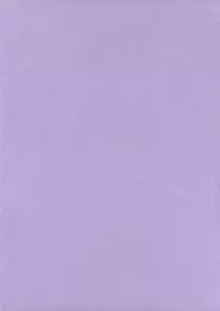 (CT13) [S-G.H. (Oona Mitsutoshi)] Suicida #13 (Kemeko Deluxe!)