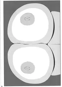 (C85) [Watosato (Sugiura Sen)] Ketsu DarakeTouhou Soushuuhen Series 2 (Touhou project)