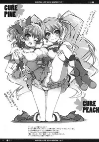 (C79) [life & Digital Flyer (Haga Yui & Ohta Yuuichi)] DIGITAL LIFE 2010 WINTER ff (Precure Series)