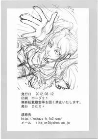 (C82) [DEX+ (Nakadera Akira)] Risechii no Rakugaki Chou (Persona 4)