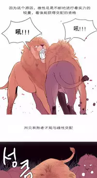 [Rozer] A World that I Rule | 我统治的世界 Ch.1-19 [Chinese]
