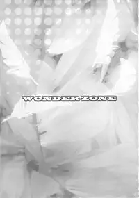(C86) [AKKAN-Bi PROJECT (Yanagi Hirohiko)] WONDER ZONE (Love Live!)