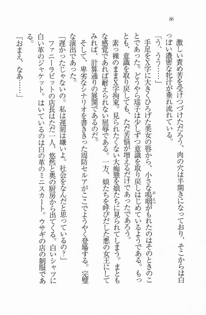 メイド喫茶 猫の隠れ家