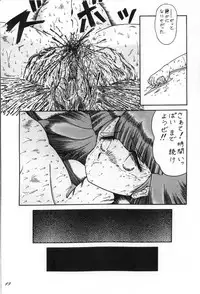 [D-Heiba] Cat's Mate RX