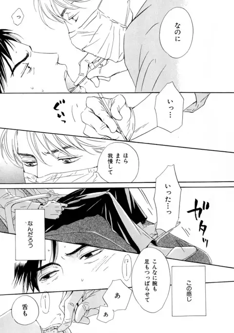 b-BOY Phoenix Vol.11 Shiroisha Tokushuu