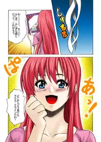 [Shinyanchi] Follower (Gundam Seed Destiny)