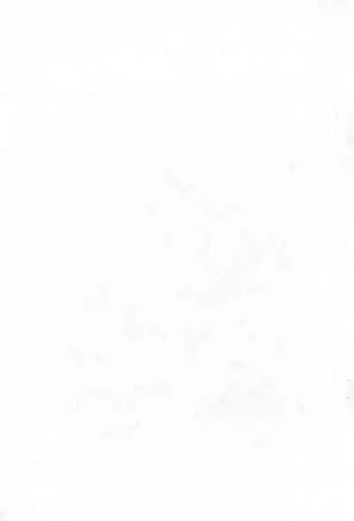 [Sanketsushuu (Sanzui)] Kasumin Copy-bon (Kasumin)