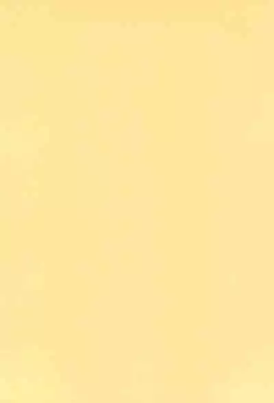 quarterly LIBIDO VOL.2