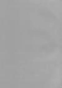 (C76) [Cyclone (Reizei, Izumi)] F840 (Mahou Shoujo Lyrical Nanoha)