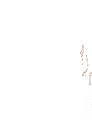 Yuuka-Chirabatta Daiyoukai no Kakera-