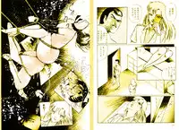 [DC Project (Dirty Matsumoto)] School Mistress Michiyo