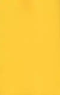 (C92) [Nedaore (Ayane)] Tomoe Mami ni Sukuwaretai (Puella Magi Madoka Magica)