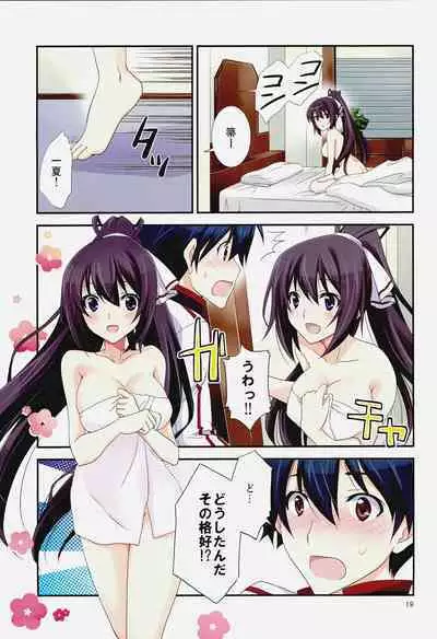 Burst Up! Infinite Stratos FAN BOOK