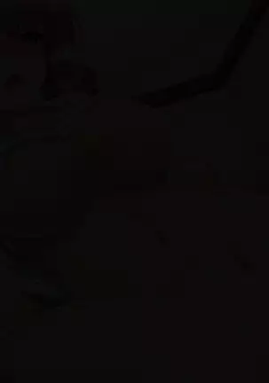 Bou YariCir Kanzen Kanshuu - Shinnyuusei no Pakorikata Manual