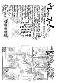 (C52) [Nawanoren (Shimizu Kiyoshi)] NN GACHOON (Various)