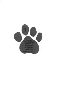 [Umetani Kenji] M no Higeki | The Tragedy of M [English] [Nemui]