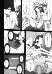 (C78) [Noraneko-no-Tama (Yukino Minato)] ELIXIR (Atelier Totori)