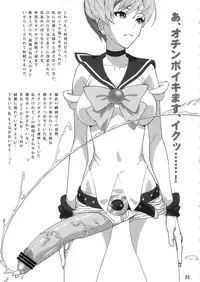 (Futaket 9) [Pollinosis (Shinkuu Tatsuya)] REDLEVEL6 (Sailor Moon)