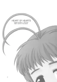 (C58) [Fountain's Square (Hagiya Masakage)] HEART OF HEARTS (Risky Safety)