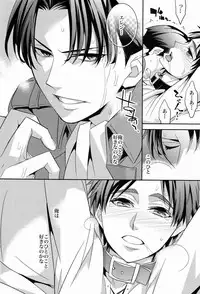 (FALL OF WALL2) [Crazy9 (Ichitaka)] Inu no Mezame (Shingeki no kyojin)