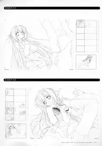 Bra-Ban Visual Fanbook