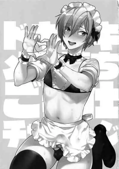 Dokidoki Mesu Ochi Gohoushi Challenge