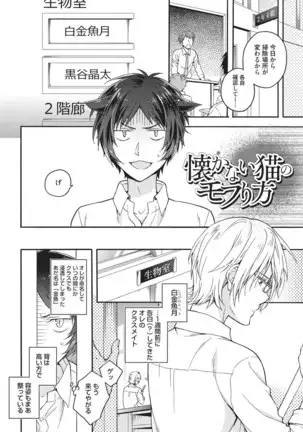 Natsukanai Neko no Mofurikata