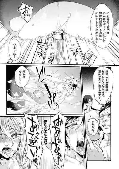 Kukkoro Heroines SP9