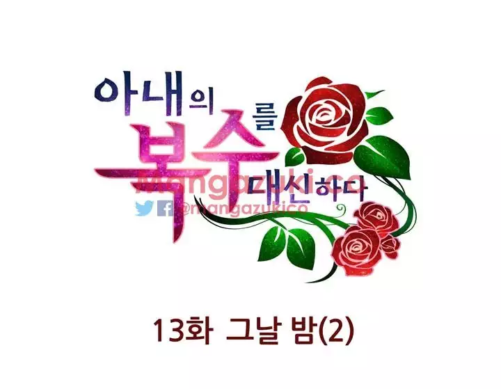 Doing My Wife's Revenge Instead of H