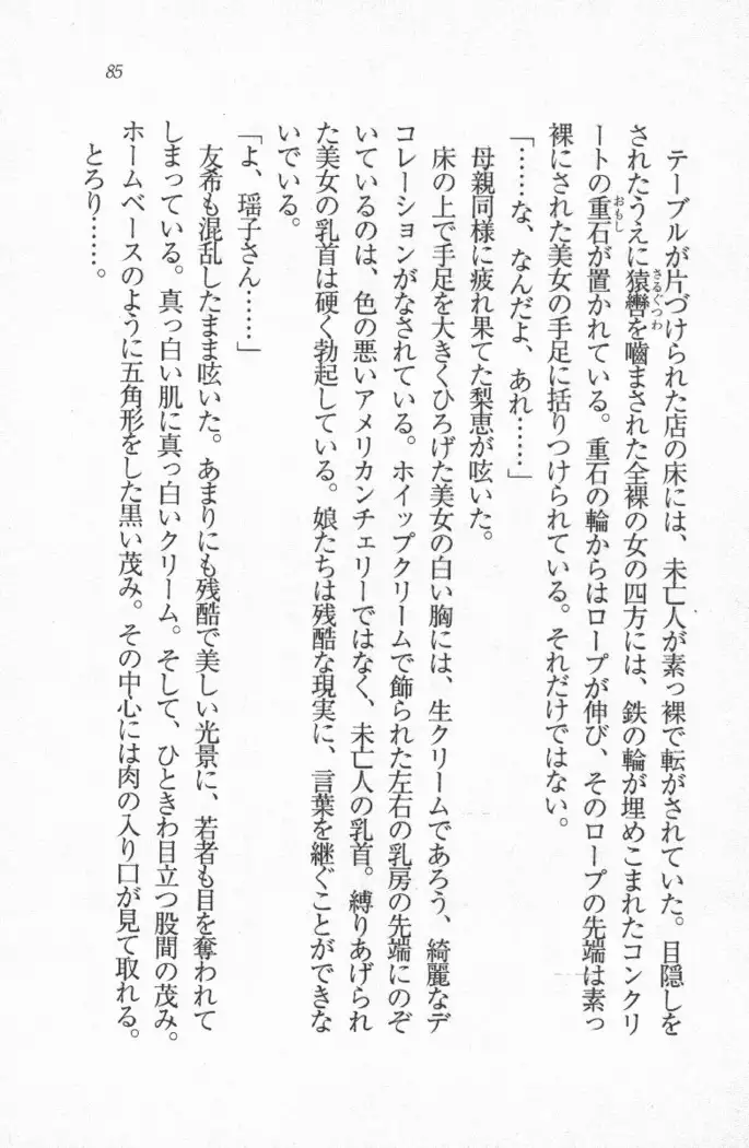 メイド喫茶 猫の隠れ家