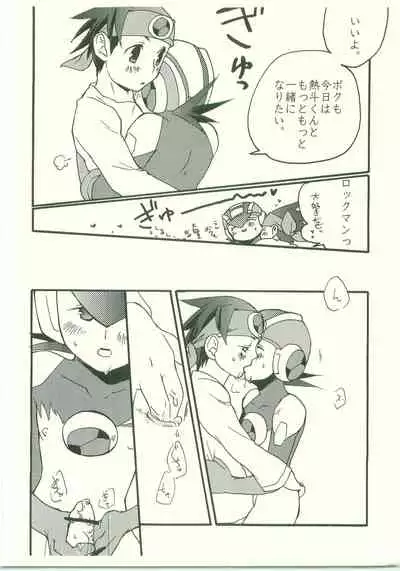 (C70) [AYAnet (Hibikino Ayane)] Daisuki. Dakara, (Rockman.EXE)