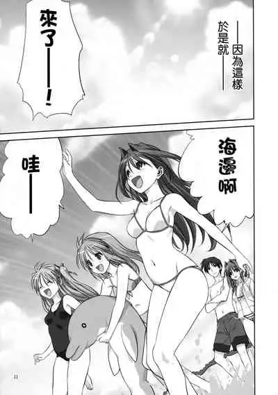 Akiko-san to Issho 8