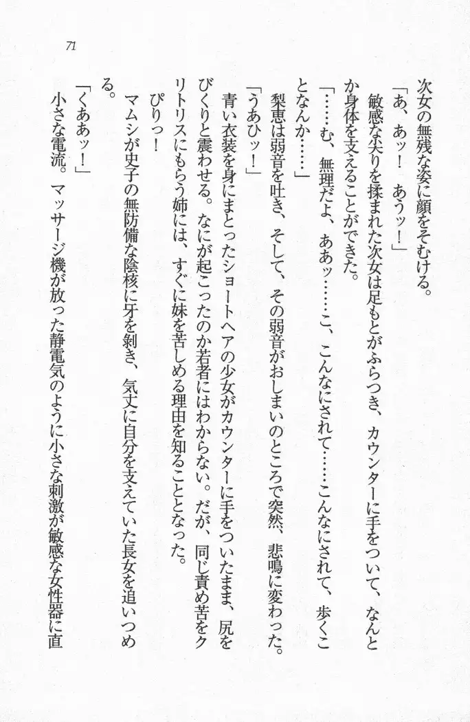 メイド喫茶 猫の隠れ家