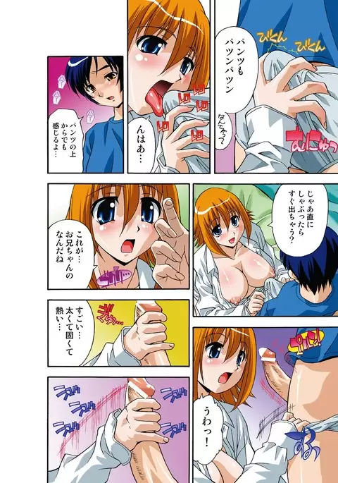 Itsuka Imouto o Okashisou na Ore no Nikuyoku