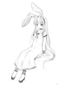 (SC17) [Mizukidou (Mizuki Takehito)] Usada Mania na (Di Gi Charat)